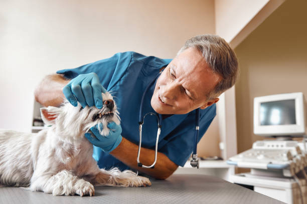 Best Broken Tooth Emergency  in Talty, TX